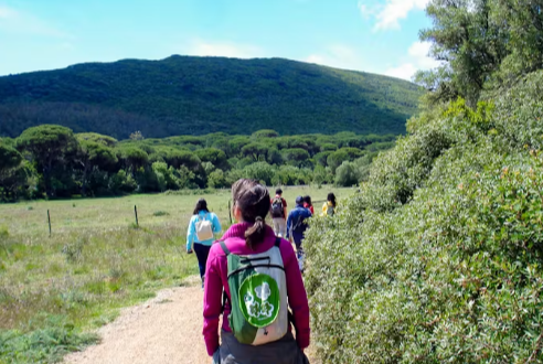 Hiking Tour Around the Arrábida Natural Park Led By a Local