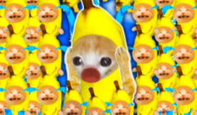 Yellow:Izmj19lk5g8= Banana Cat