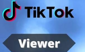 Anonymous Tik Tok Viewer