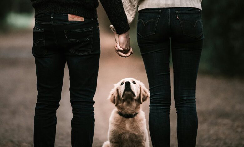 customer loyalty strategies guide