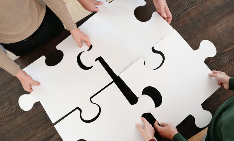 strategic alliance development techniques