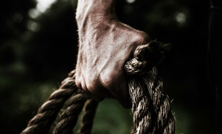 business insights and analysis