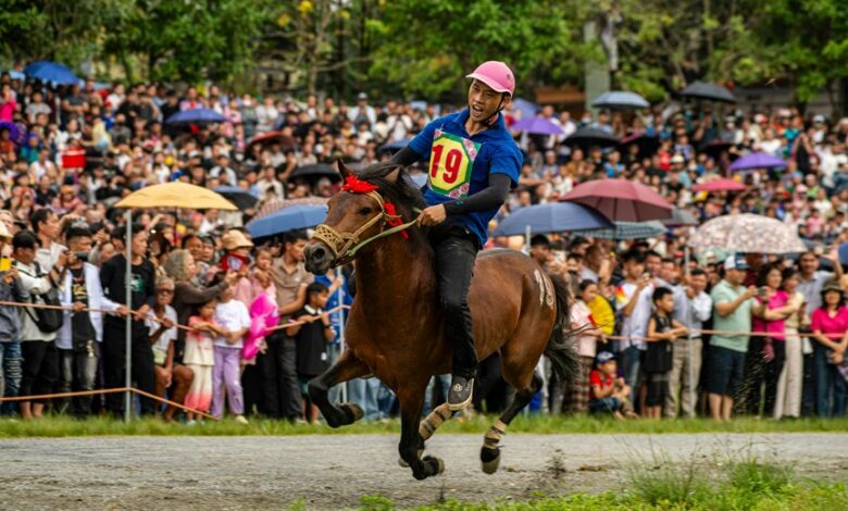 market performance analysis report