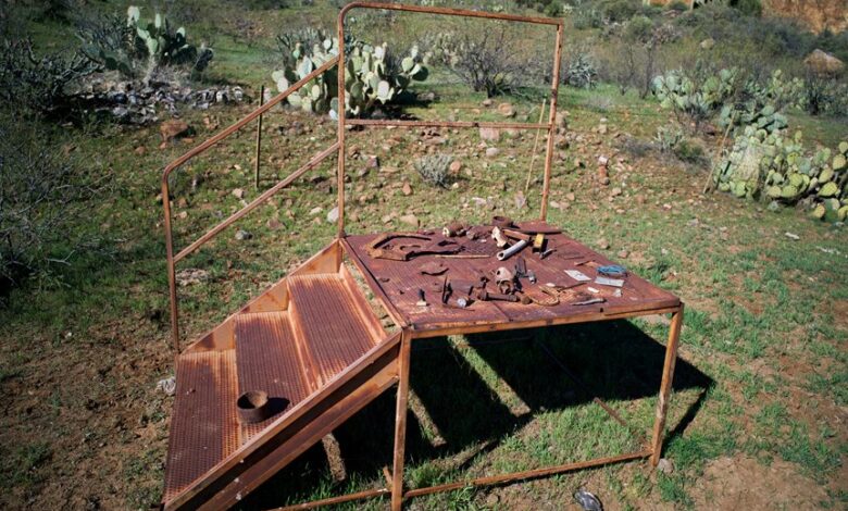 improve online tools platform